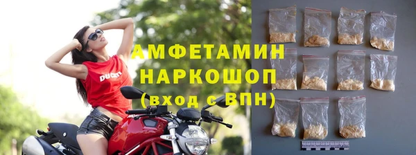 apvp Каменногорск