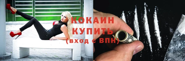 apvp Каменногорск