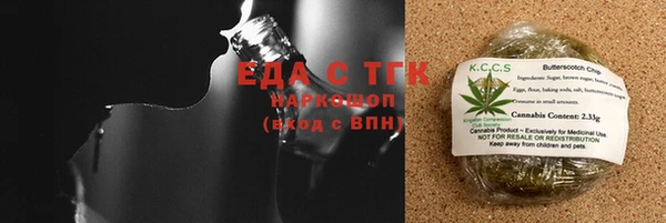 прущие грибы Тында