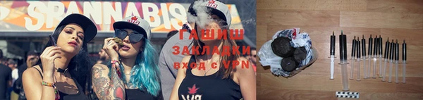 стаф Каменка