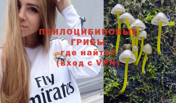 apvp Каменногорск