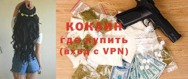 стаф Каменка