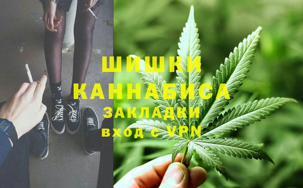 apvp Каменногорск