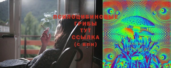 мдма Инта