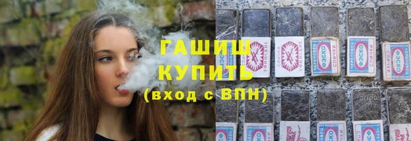 стаф Каменка