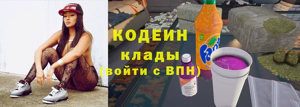 стаф Каменка