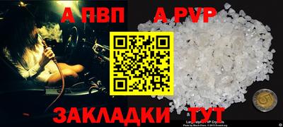 a pvp Дубна