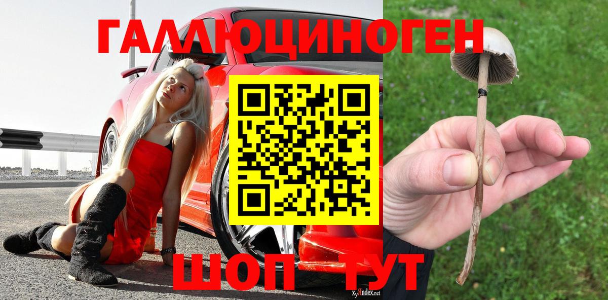 Мурманск  Галлюциногенные грибы Psilocybine cubensis  Вход с VPN  Псилоцибиновые грибы MAGIC MUSHROOMS 