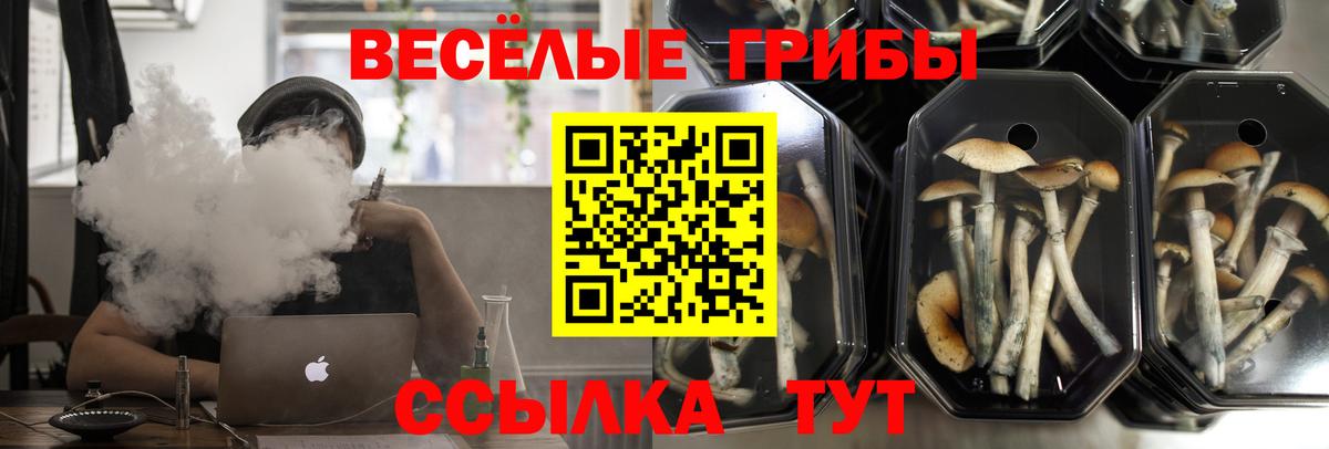 Псилоцибиновые грибы MAGIC MUSHROOMS  купить  сайты  Мурманск 