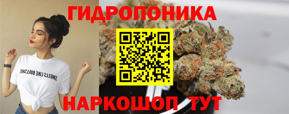 Бошки Шишки тримм  МАРИХУАНА OG Kush  Вход с VPN  Мурманск 